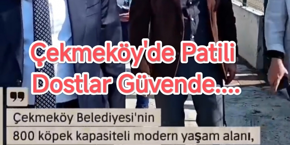 Çekmeköy'de Patili Dostlar Güvende....