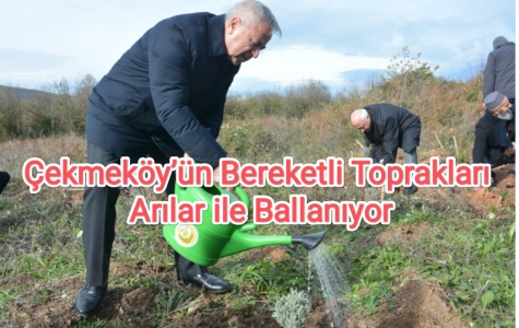 Çekmeköy’ün Bereketli Toprakları Arılar ile Ballanıyor