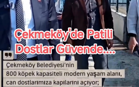 Çekmeköy'de Patili Dostlar Güvende....