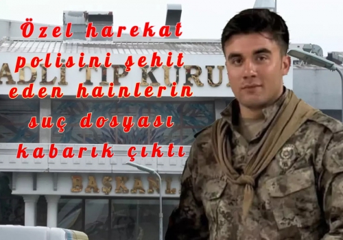 Özel harekat polisini şehit eden hainlerin suç dosyası kabarık çıktı