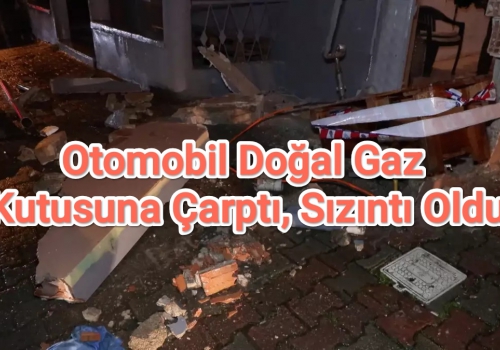 Otomobil Doğal Gaz Kutusuna Çarptı, Sızıntı Oldu....