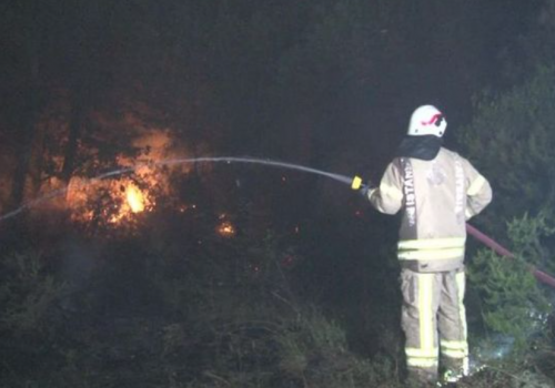 Çekmeköy'de çıkan orman yangını söndürüldü