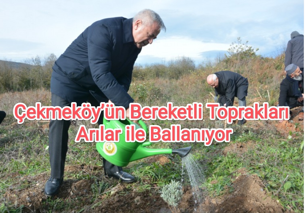 cekmekoey-uen-bereketli-topraklar-ar-lar-ile-ballan-yor